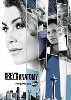 Banner Phim Ca Phẫu Thuật Của Grey Phần 16 - Grey’s Anatomy Season 16 (Grey's Anatomy)