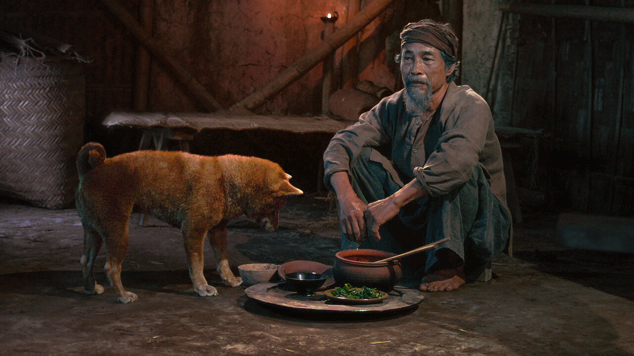 Banner Phim Cậu Vàng (The Old Man's Dog)