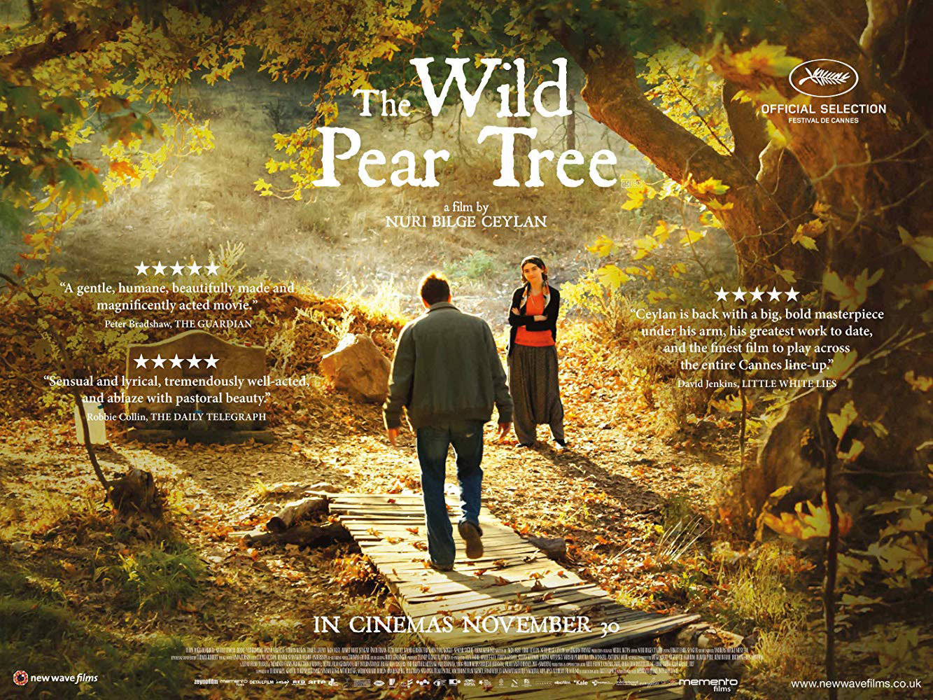 Banner Phim Cây Lê Dại (The Wild Pear Tree)