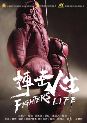 Banner Phim Cuộc Sống Của Võ Sĩ (Fighter's Life)