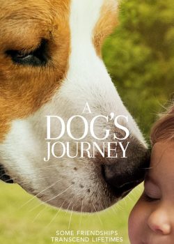 Banner Phim Hành Trình Của Chú Chó (A Dog's Journey)
