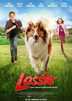 Banner Phim Lassie Về Nhà (Lassie Come Home)