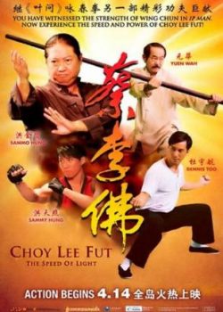 Banner Phim Lò Võ Trung hoa - Choy Lee Fut (Choyleefut: Speed of Light)