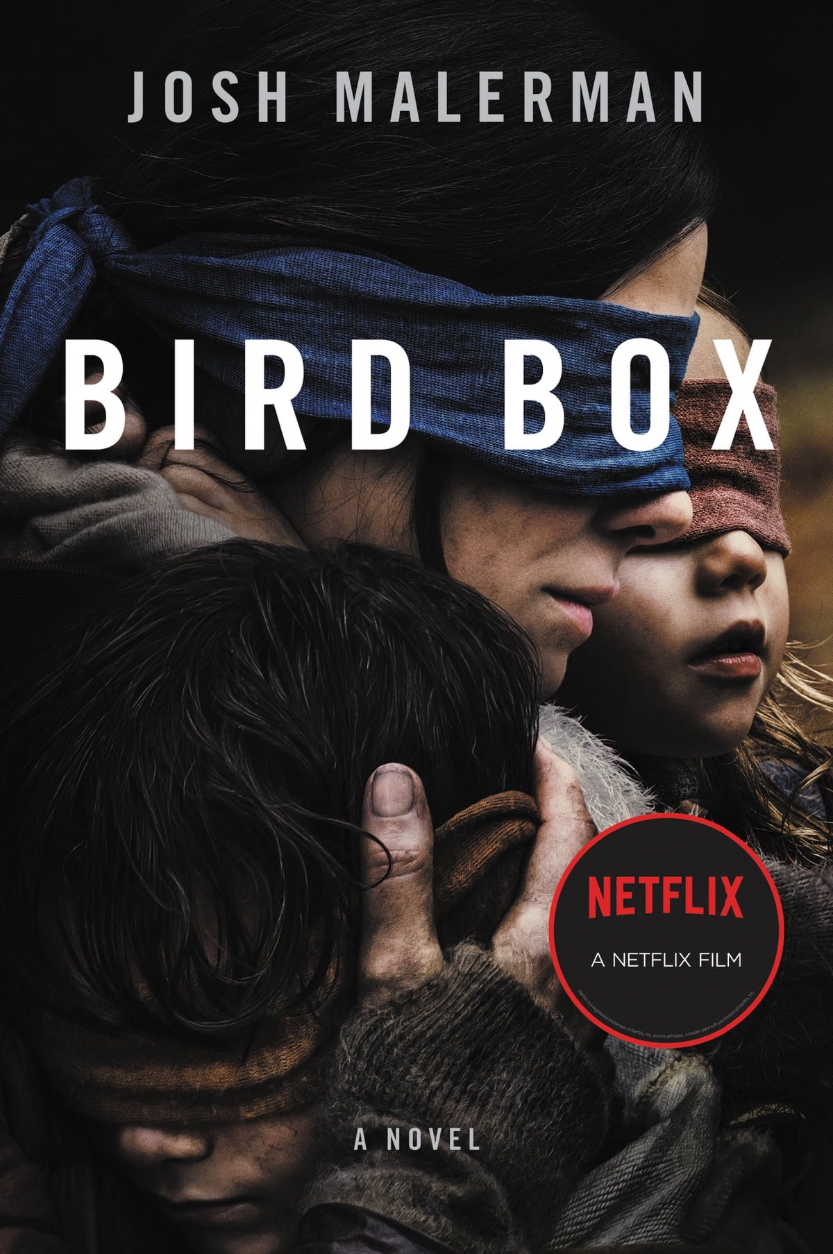Banner Phim Lồng chim (Bird Box)
