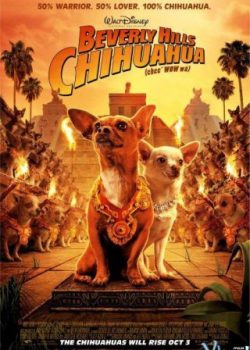 Banner Phim Những Chú Chó Chihuahua Ở Đồi Beverly 1 (Beverly Hills Chihuahua I)
