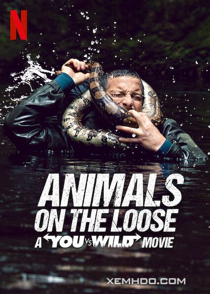 Banner Phim Bạn Đối Đầu Với Thiên Nhiên: Dã Thú Trốn Thoát (Animals On The Loose: A You Vs. Wild Movie)