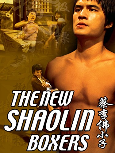 Banner Phim Tiểu Tử Thái Lý Phật (The New Shaolin Boxers)