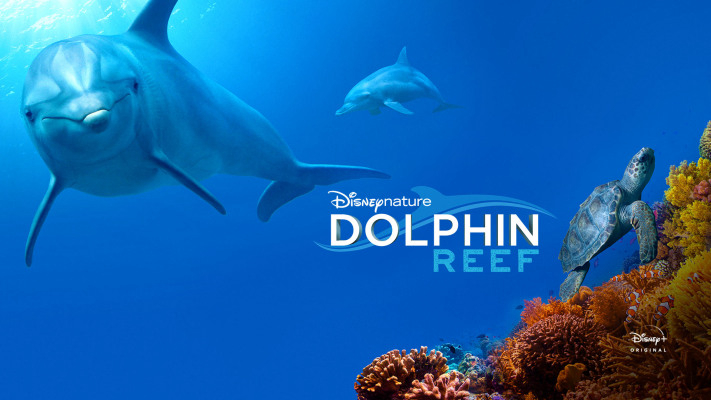 Banner Phim Rạn San Hô Cá Heo (Dolphin Reef)
