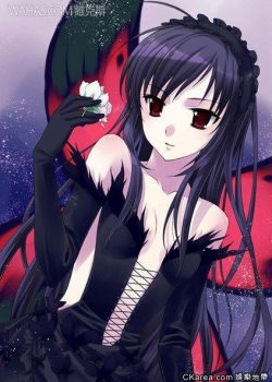 Banner Phim Thế Giới Gia Tốc (Accel World Specials / Accelerated World Specials)