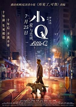 Banner Phim Tiểu Q (Little Q)