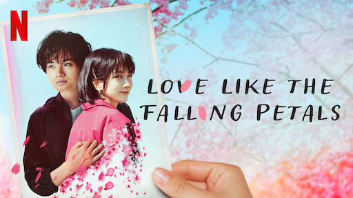 Banner Phim Tình yêu như cánh hoa rơi (Love Like the Falling Petals)