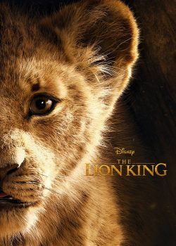 Banner Phim Vua Sư Tử (The Lion King Live-action)