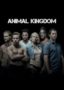Banner Phim Vương Quốc Động Vật Phần 1 (Animal Kingdom Season 1)