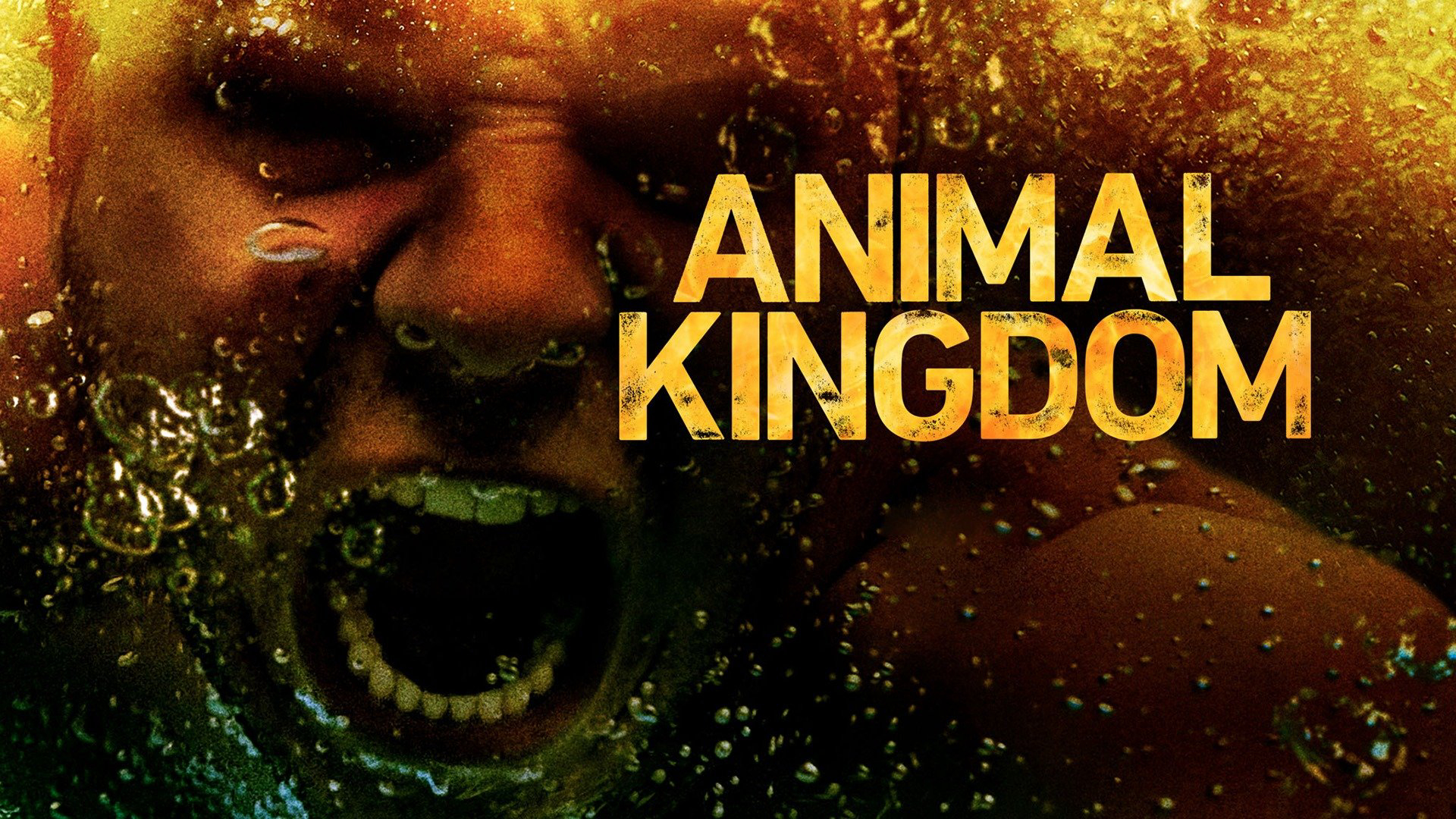 Banner Phim Vương Quốc Động Vật Phần 3 (Animal Kingdom Season 3)