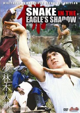 Banner Phim Xà Hình Điêu Thủ (Snake in the Eagle's Shadow)