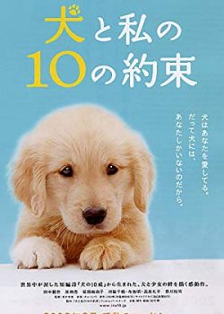 Xem Phim 10 Lời Hứa Dành Cho Chú Chó Của Tôi (10 Promises to My Dog)