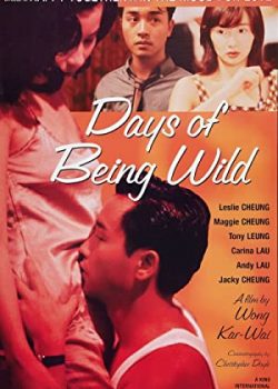 Poster Phim A Phi Chính Truyện (Days of Being Wild)