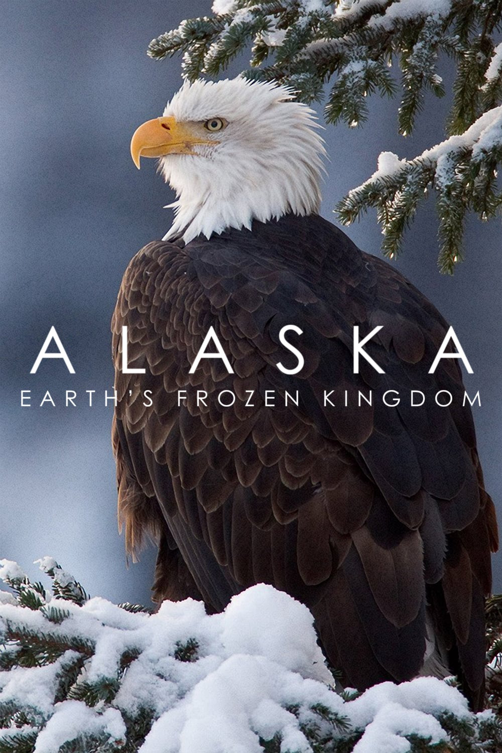 Xem Phim Alaska: Vương Quốc Băng Giá (Alaska: Earth's Frozen Kingdom)