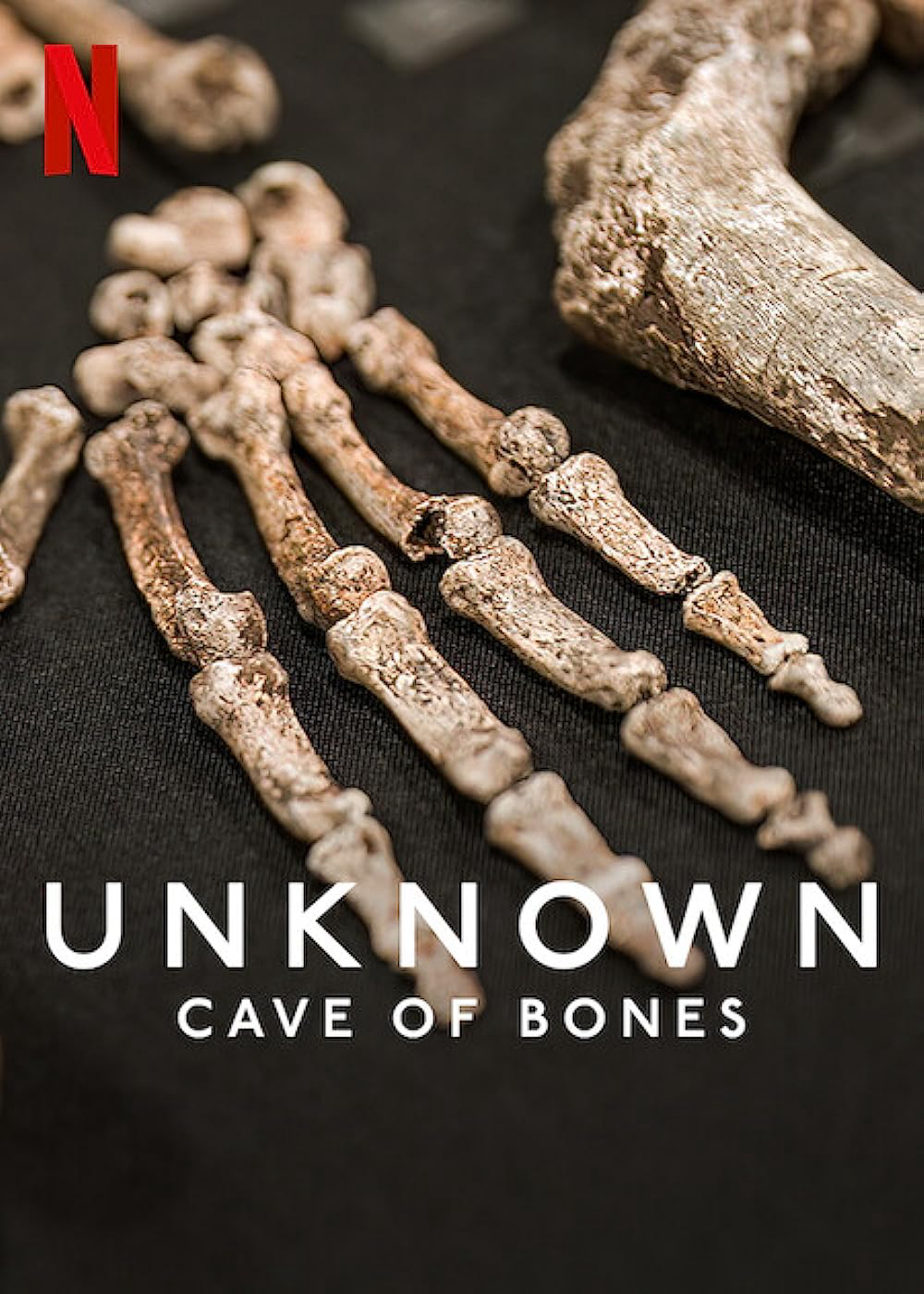 Xem Phim Ẩn số Trái đất: Hang hài cốt (Unknown: Cave of Bones)