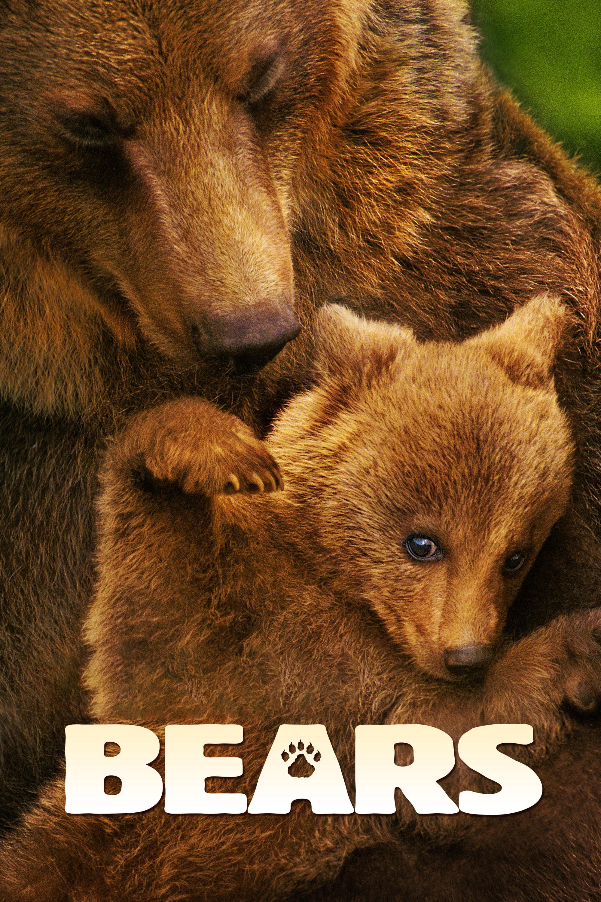 Xem Phim Bears (Bears)
