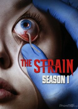 Xem Phim Bệnh Dịch Ma Cà Rồng Chủng virus Phần 1 (The Strain Season 1)