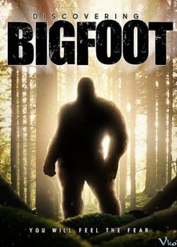 Xem Phim Bí Ẩn Bigfoot (Discovering Bigfoot)