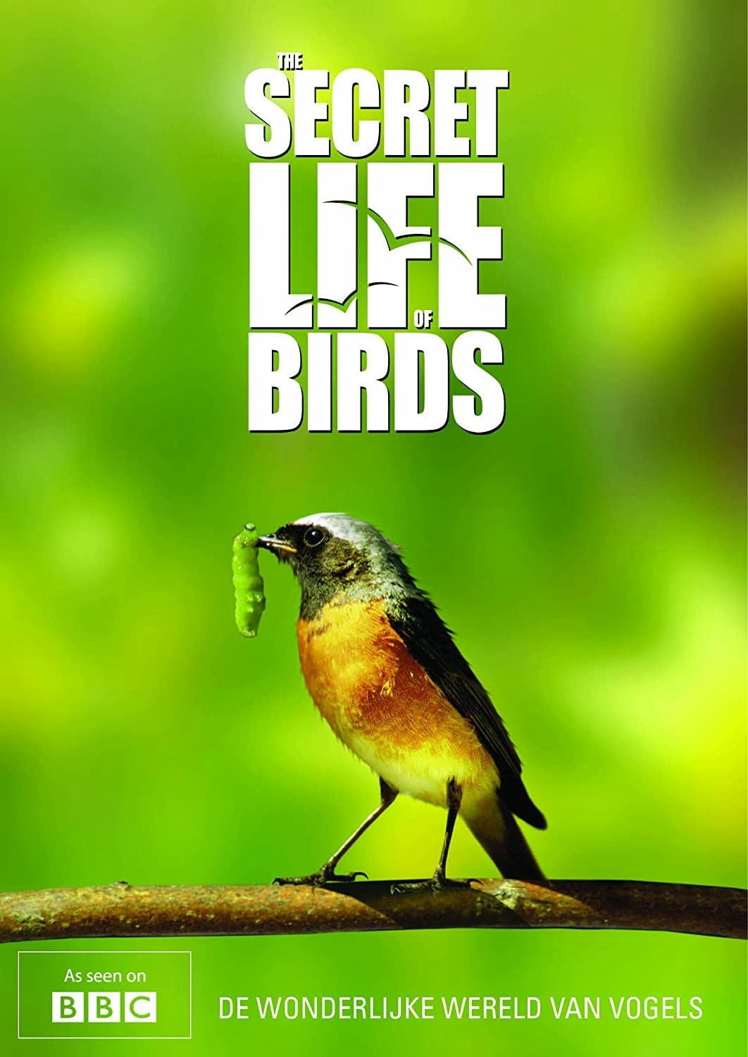 Xem Phim Bí ẩn cuộc sống loài chim (The Secret Life of Birds )