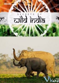 Xem Phim Bí Ẩn Thế Giới Hoang Dã Ấn Độ: Vương Quốc Loài Voi (Secrets Of Wild India: Elephant Kingdom)