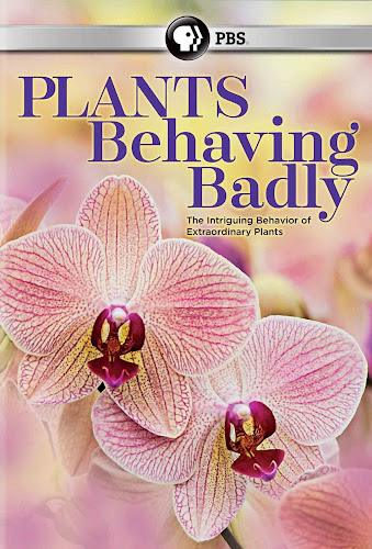 Xem Phim Bí Ẩn Về Thực Vật Ăn Động Vật (Plants Behaving Badly)