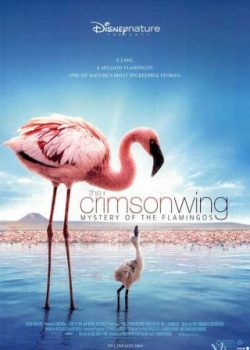 Xem Phim Bí Mật Của Chim Hồng Hạc (The Crimson Wing: Mystery Of The Flamingos)