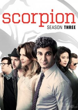 Xem Phim Bọ cạp Phần 3 (Scorpion Season 3)