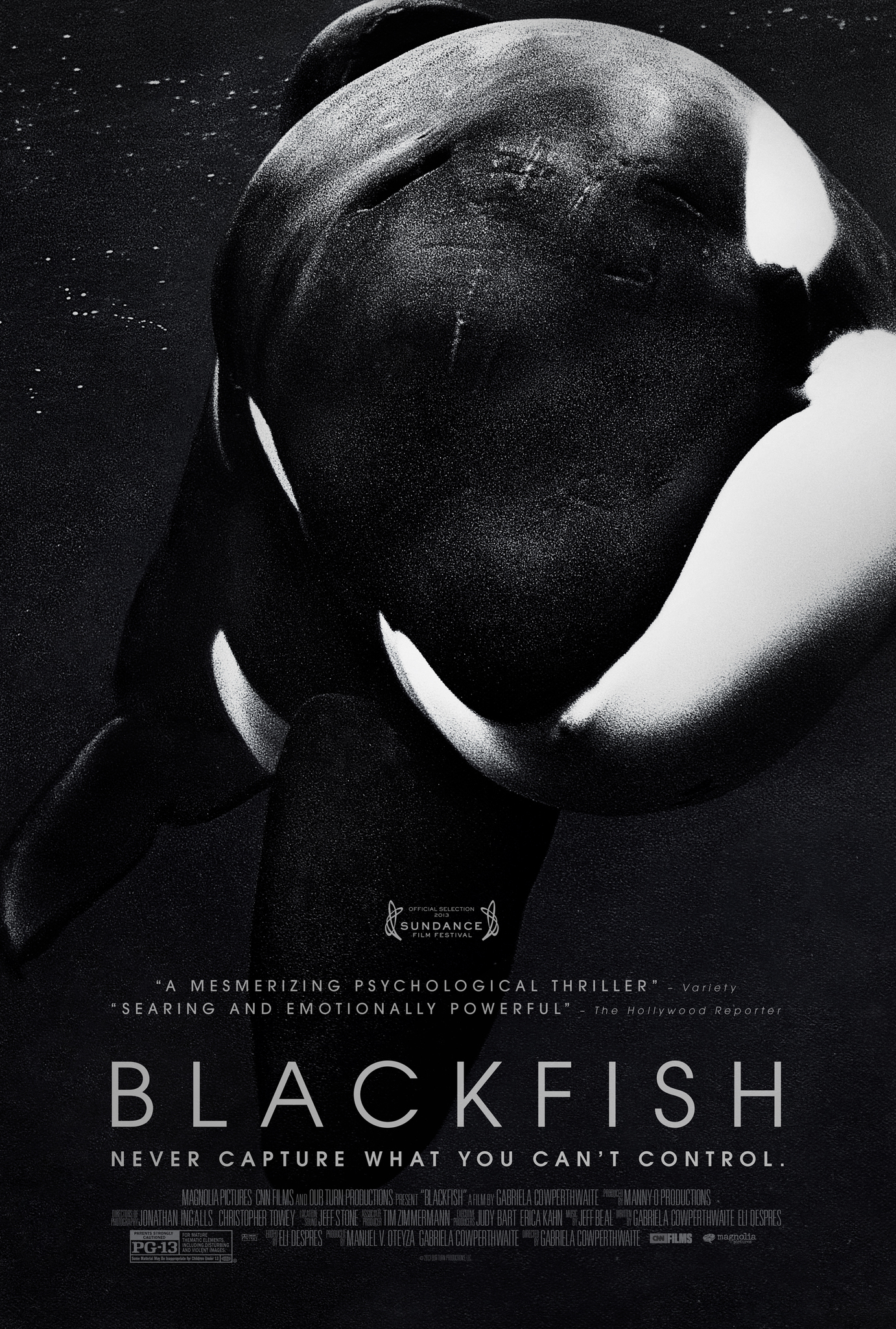 Poster Phim Cá đen (Blackfish)