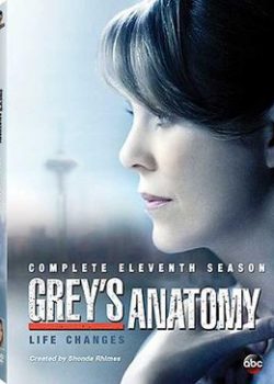 Xem Phim Ca Phẫu Thuật Của Grey Phần 11 (Grey's Anatomy Season 11)