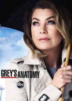 Xem Phim Ca Phẫu Thuật Của Grey Phần 13 (Grey's Anatomy Season 13)