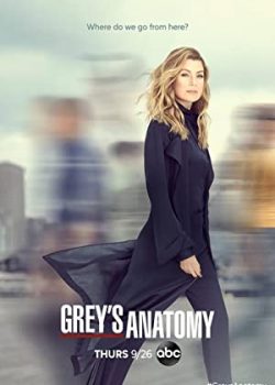 Xem Phim Ca Phẫu Thuật Của Grey Phần 14 (Grey's Anatomy Season 14)