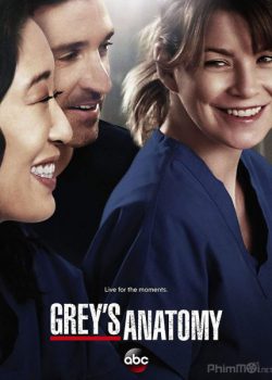 Xem Phim Ca Phẫu Thuật Của Grey Phần 15 (Grey's Anatomy Season 15)
