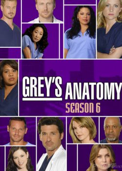 Xem Phim Ca Phẫu Thuật Của Grey Phần 6 (Grey's Anatomy Season 6)