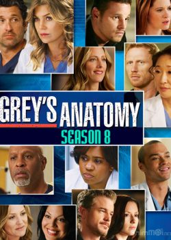 Xem Phim Ca Phẫu Thuật Của Grey Phần 8 (Grey's Anatomy Season 8)