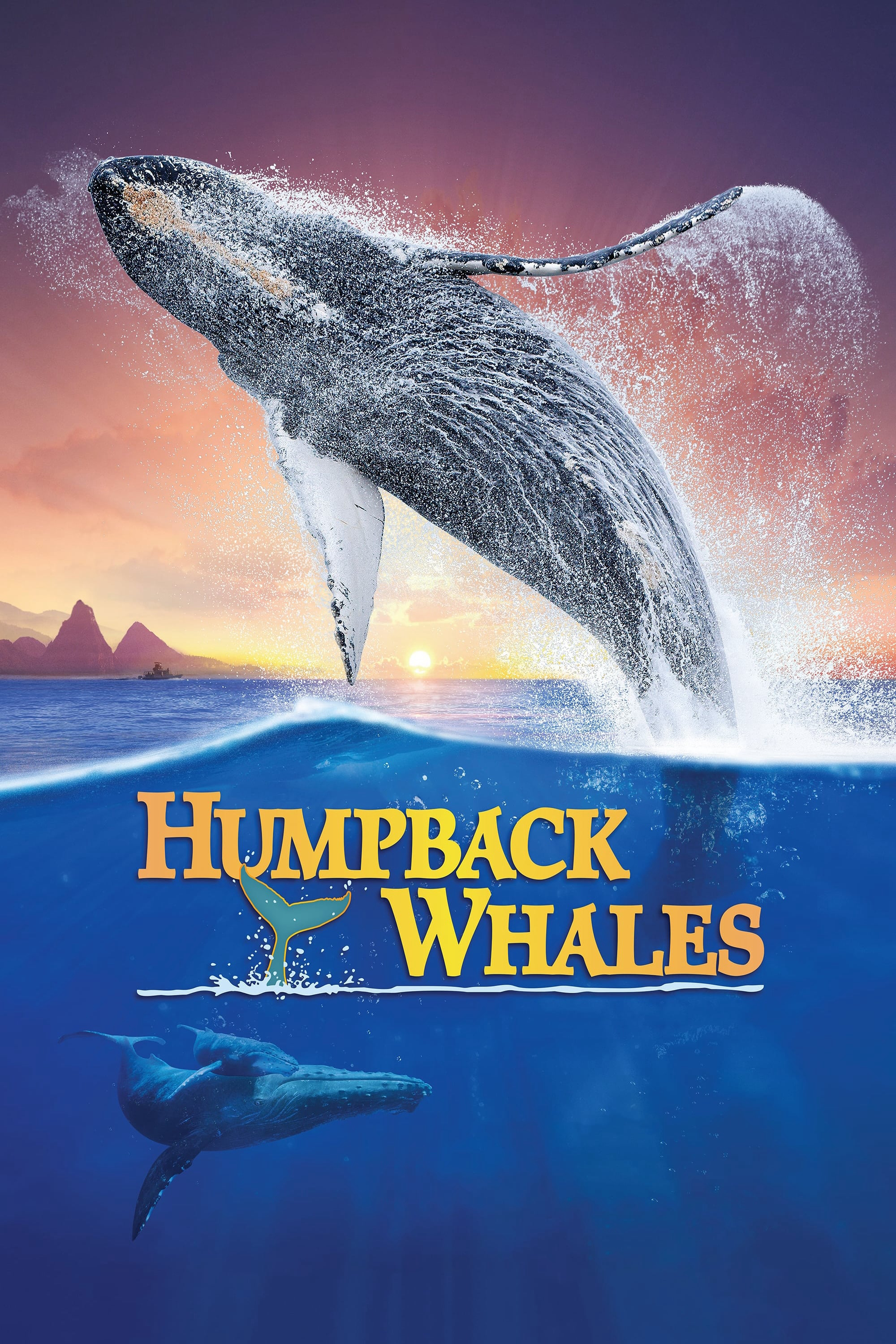 Xem Phim  Cá Voi Lưng Gù (Humpback Whales)