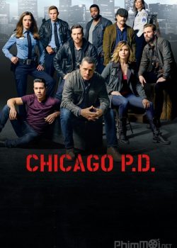 Xem Phim Cảnh sát Chicago Phần 3 (Chicago P.D. Season 3)