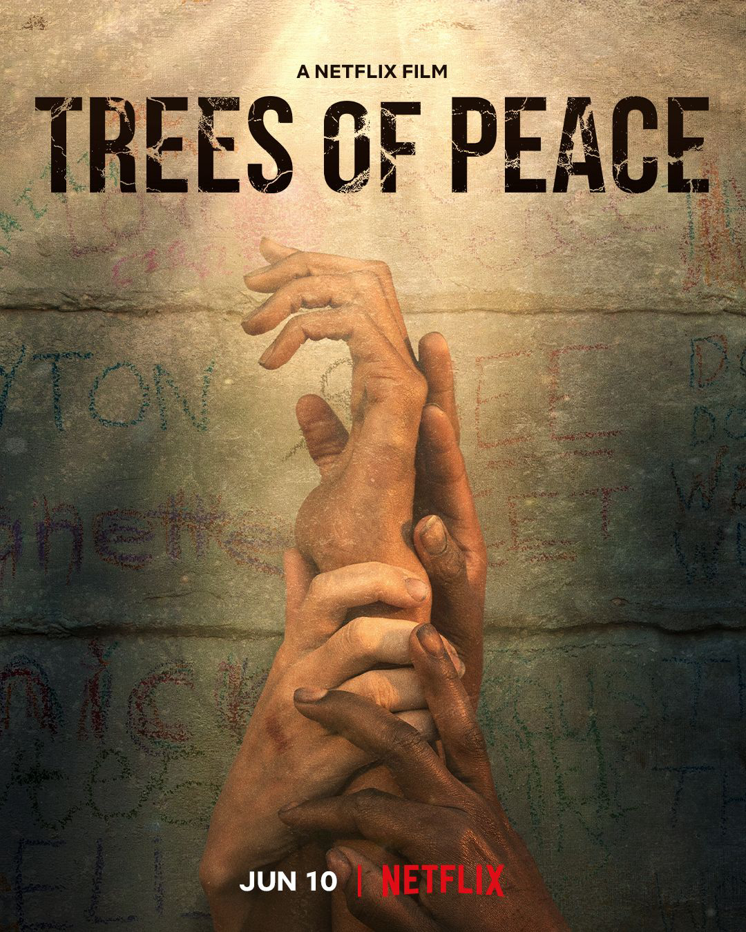 Xem Phim Cây hòa bình (Trees of Peace)