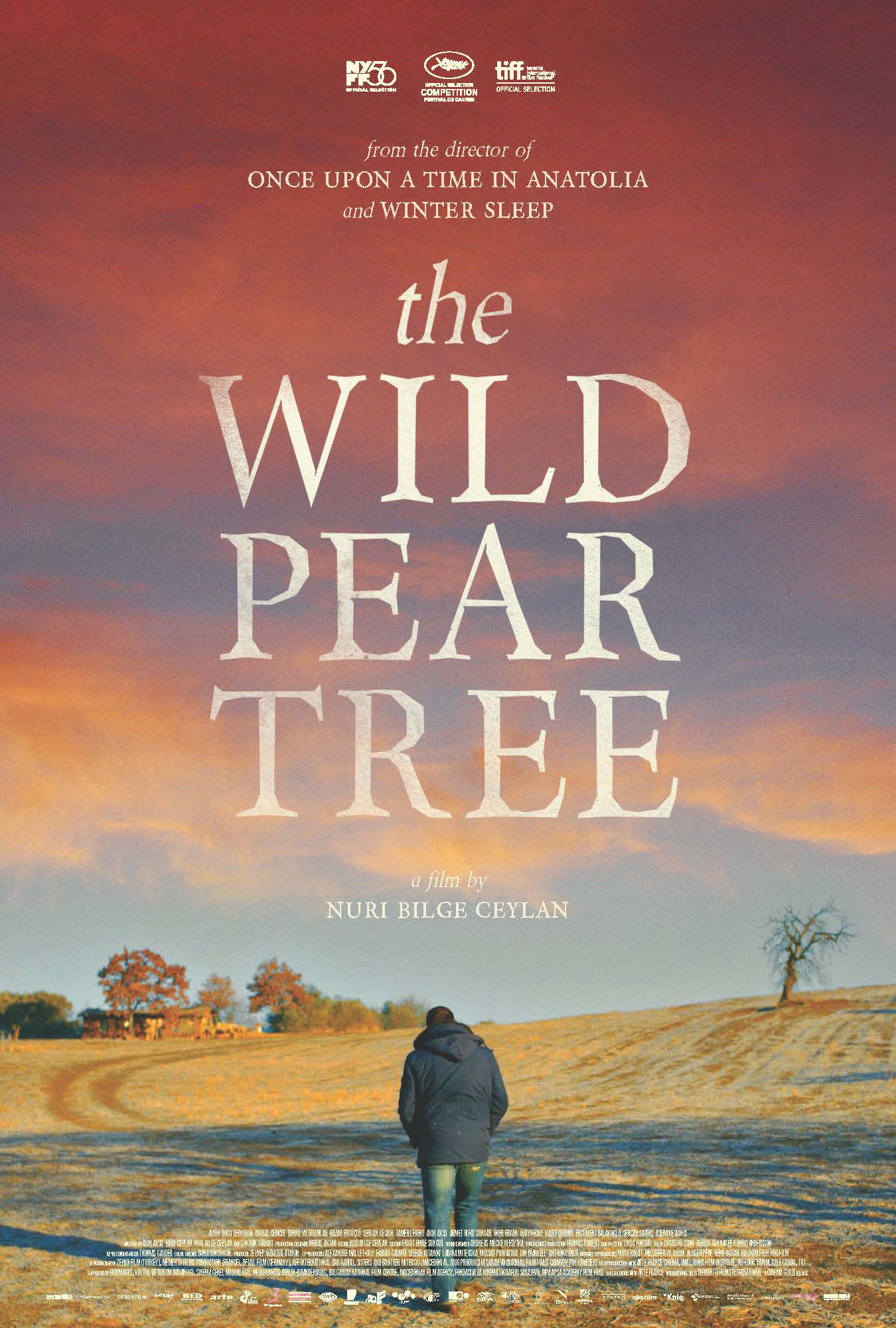 Poster Phim Cây Lê Dại (The Wild Pear Tree)