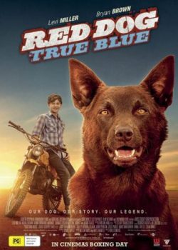 Xem Phim Chú Chó Đỏ 2 (Red Dog: True Blue)