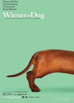 Xem Phim Chú Chó May Mắn (Wiener-Dog)