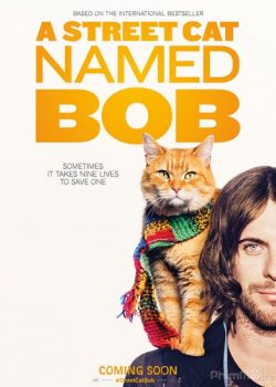Xem Phim Chú Mèo Đường Phố (A Street Cat Named Bob)