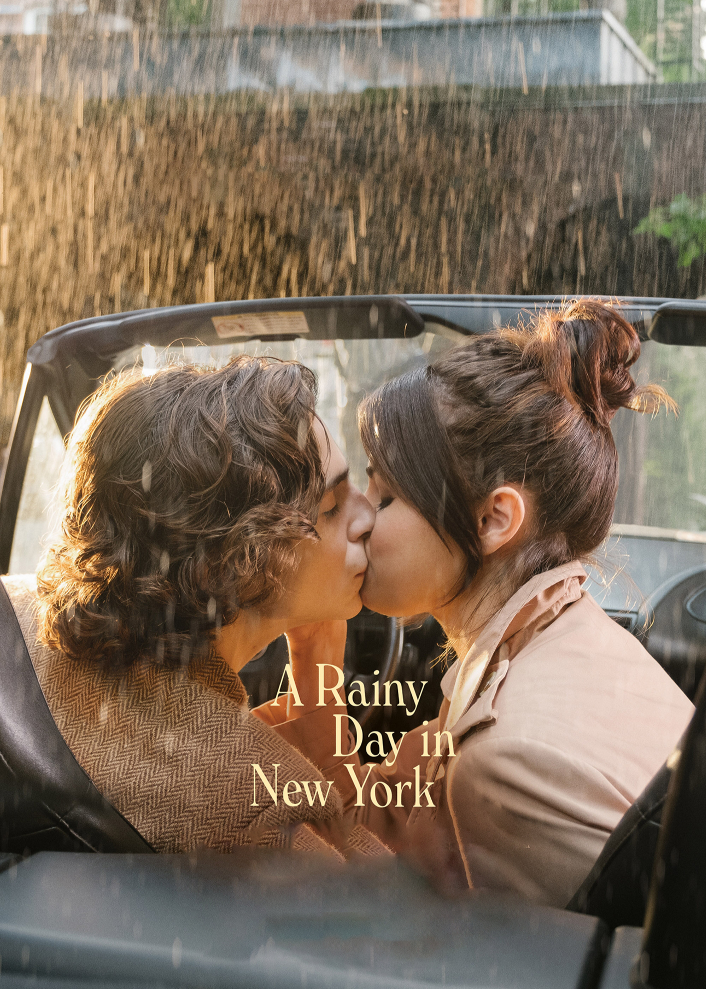 Xem Phim Chuyện Ngày Mưa Ở New York (A Rainy Day in New York)