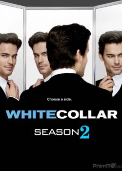 Xem Phim Cổ Cồn Trắng Phần 2 (White Collar Season 2)