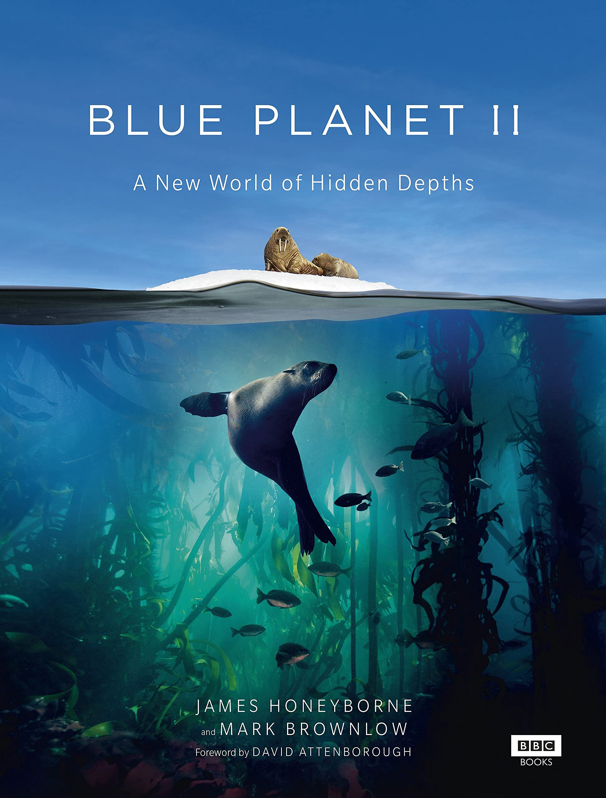 Xem Phim Đại Dương Sâu Thẳm 2 (The Blue Planet 2)
