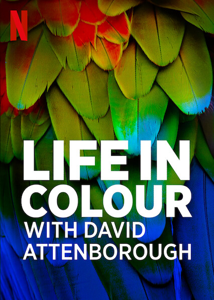 Xem Phim David Attenborough: Sự sống đầy màu sắc (Life in Colour with David Attenborough)