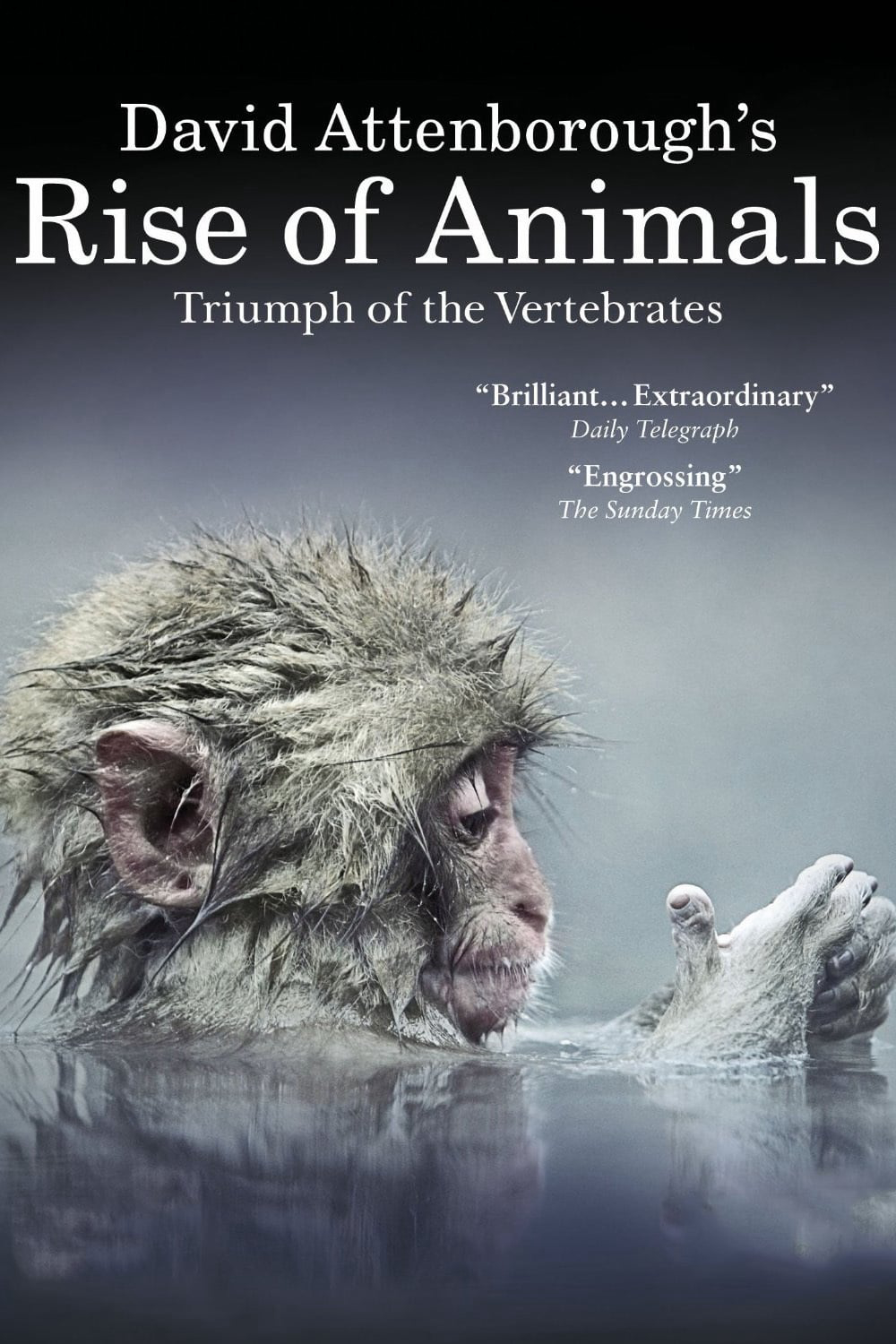 Xem Phim David Attenborough's Rise of Animals: Triumph of the Vertebrates (David Attenborough's Rise of Animals: Triumph of the Vertebrates)